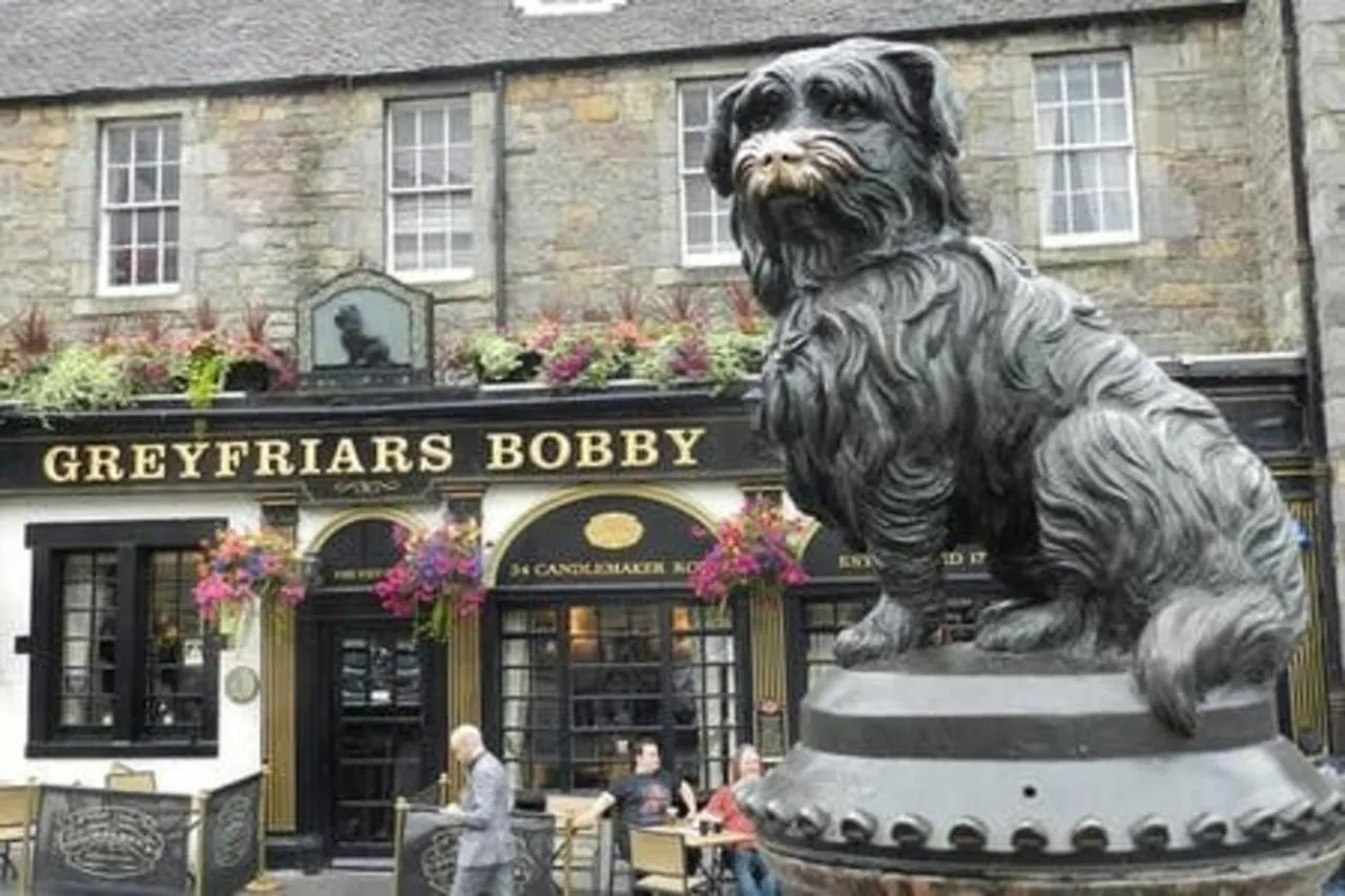 Guestready - Greyfriars Bobby Home View Apartment - Old Town Edinburgh